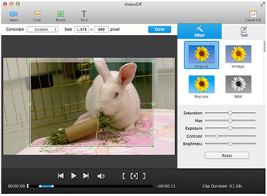 VideoGIF Screenshot