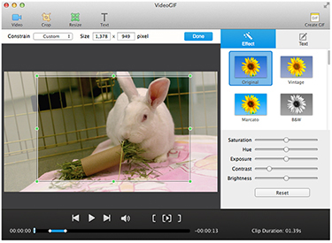 Easy to Use GIF Maker for Converting Video to GIF - VideoGIF for Mac